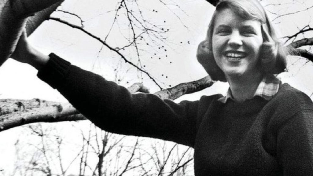 rereading the bell jar by sylvia&nbsp;plath