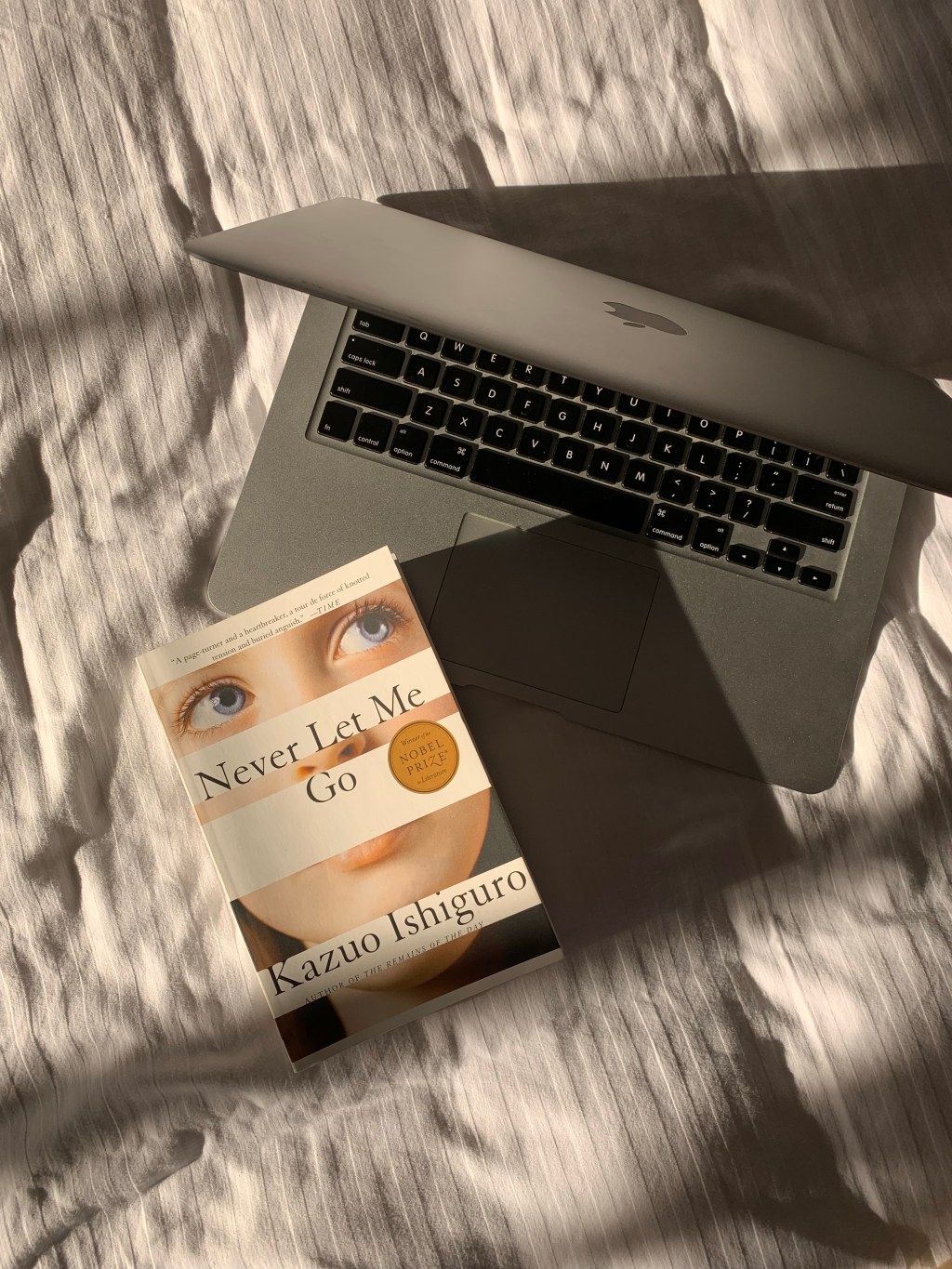 a plea: never let me go by kazuo&nbsp;ishiguro